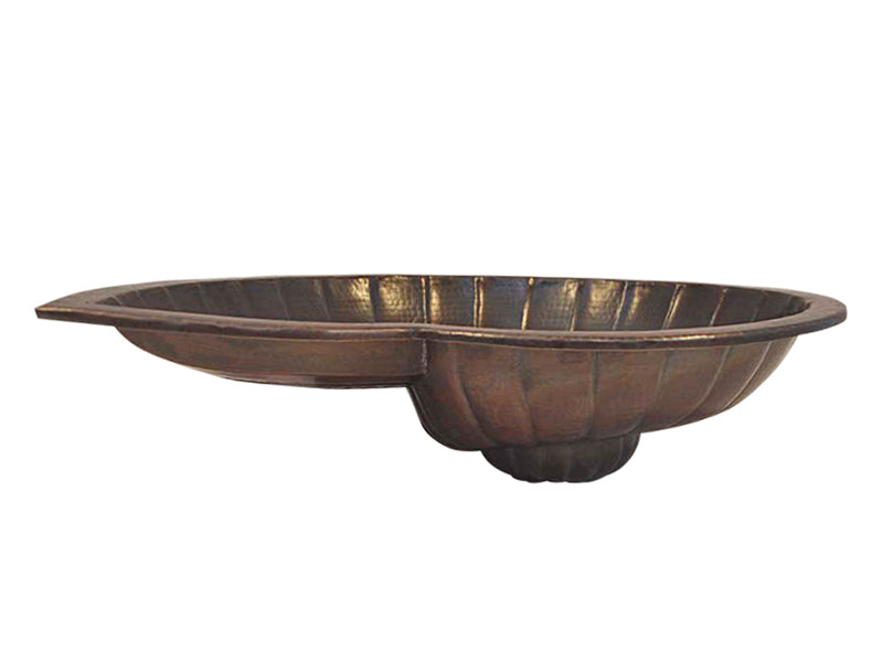 Vessel Sink Nautilus design