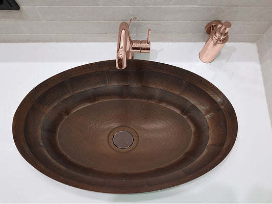 Sink Turtle Shell Design