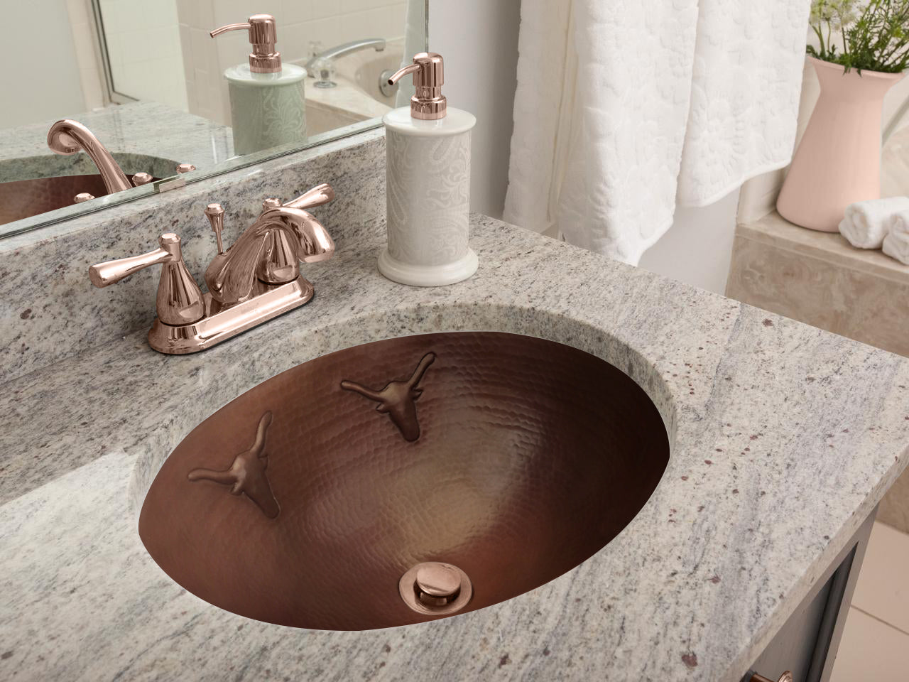 Sink Longhorn Design